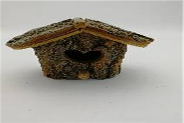 鳥窩喂鳥器